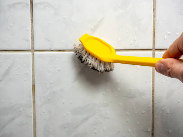 Best Office Mold Removal Services  in Fort Scott, KS