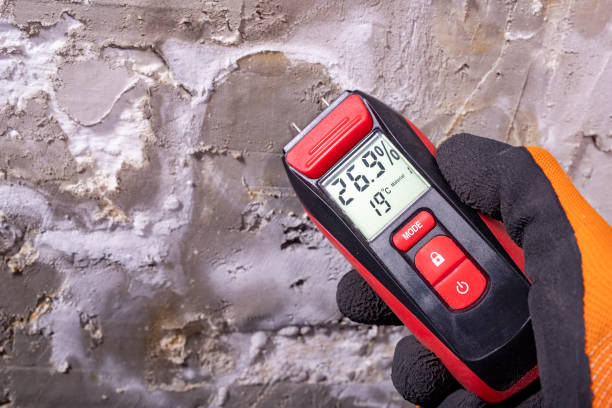 Certified Mold Removal in Fort Scott, KS