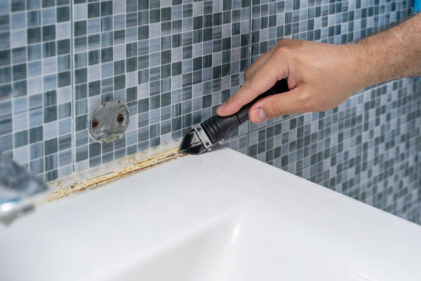 Best Commercial Mold Removal  in Fort Scott, KS