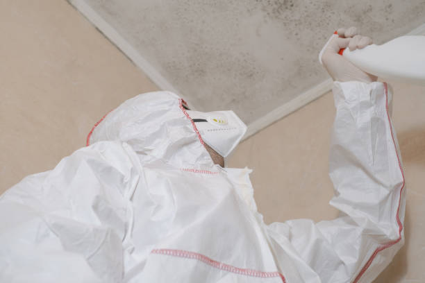 Best Mold Damage Repair  in Fort Scott, KS