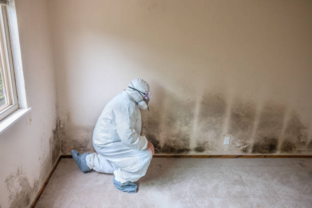 Best Emergency Mold Removal  in Fort Scott, KS