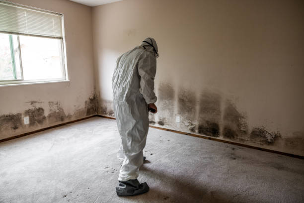 Best Crawl Space Mold Removal  in Fort Scott, KS