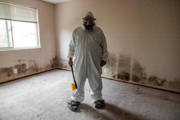 Best Emergency Mold Removal  in Fort Scott, KS